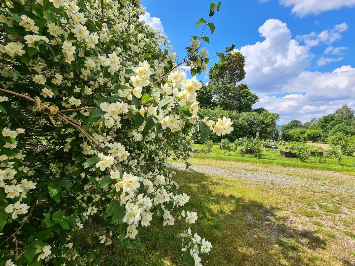 Risberg Herrgard Hagfors Exterior foto